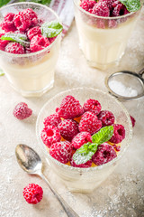 Homemade summer sweet dessert in glass, panna cotta with raspberry, diet light snack, light stone concrete background copy space