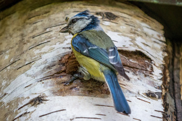 the food tries to escape... take a closer look... ;-)