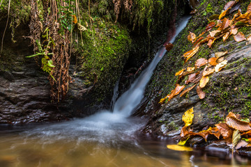 kleiner Wasserfall mit goldenem Herbstlaub