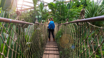 Naklejka na ściany i meble Woman with a backpack taking photographs on a suspension bridge in the jungle 