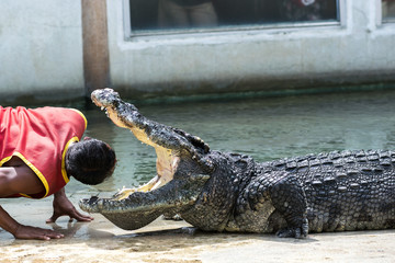 A man wearing a red dress is showing his head into the open mouth of the crocodile. showing in...