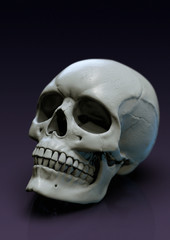 Skull render