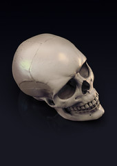Skull render