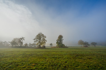 Obraz na płótnie Canvas Fruhjahrsmogen im Nebel