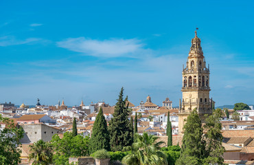 Fototapeta na wymiar Aerial view from the Alcazares de los reyes and the Torre del campanario (Bell tower) in the background in Cordoba, Spain.