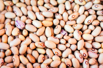 White beans background (Phaseolus) – food for veggies.