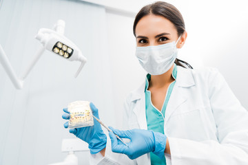 female stomatologist holding dental jaw model with braces