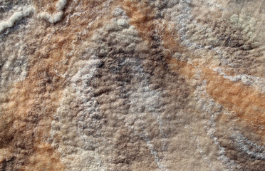 art color felt background texture, wool handmade textile