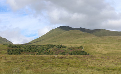 View of Ben Lawers National Nature Reserve, and the Edramucky Trail clearly showing an area of regenerated native vegetation.