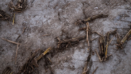 Top shot of the ground of an agricultural field