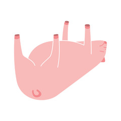 Vector pig cartoon character taking a rest isolated on white background.