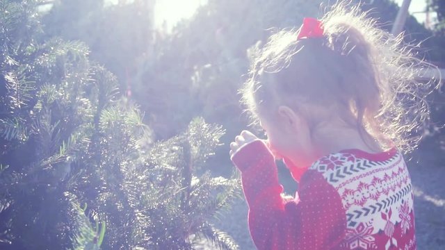 Slow motion. Little girl in red dress on Christmas tree farm.