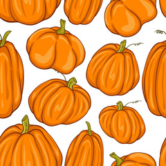 Pumpkin texture. Autumnal illustrative seamless pattern. Vector background.