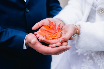 Wedding rings on orange autumn leaves in hands of wedding couple.