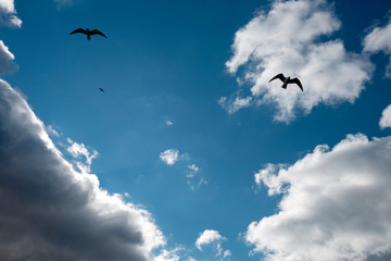 blue sky with clouds