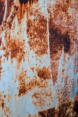 Rust background and animal skin