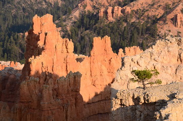 BRYCE CANYON NATIONAL PARK (UTAH) USA