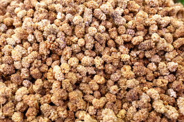 Background of Dried white mulberries
