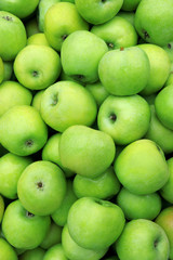 Green apples background 
