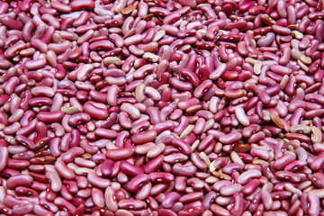 pink kidney bean for background 