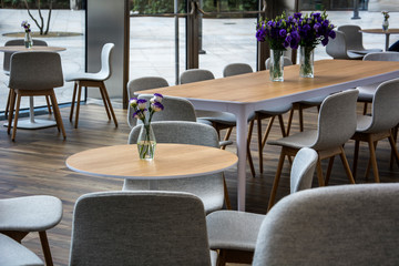 Grey Modern Cafe Chairs