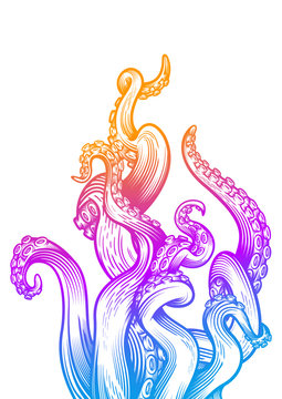 Tentacles of an octopus. Hand drawn vector illustration in engraving technique with blurple gradient color isolated on white background. 