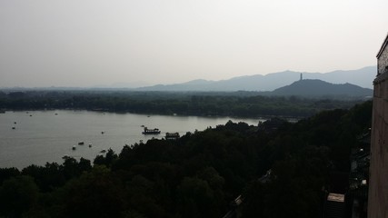 chinese nature