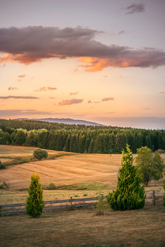 Rural countryside landscape in the sunset