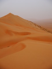 Fototapeta na wymiar scenic desert panorama with gigantic sand dune in the back, Middle East