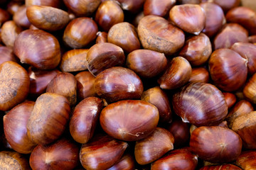 chestnuts isolated on white background