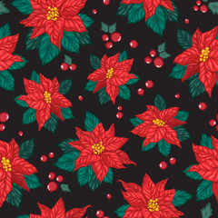 Seamless pattern of poinsettia flowers, berries and leafs. Vector illustration of winter flowers and elements isolated on black background.