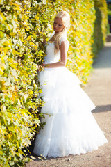 Portrait of bride on the grass background