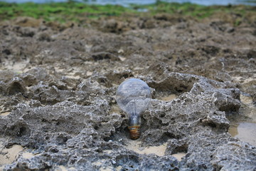 abandoned bulb on the beach 