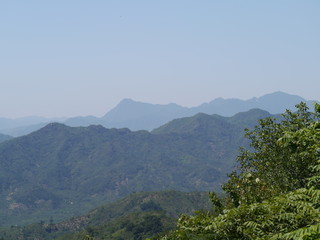 chinese nature