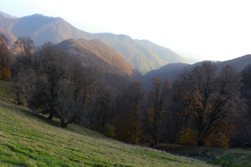 mountains in autumn