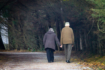 Senior Couple at the Park