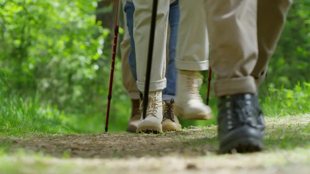 Low-section shot of legs of unrecognizable tourists with trekking poles walking along forest trail on summer day