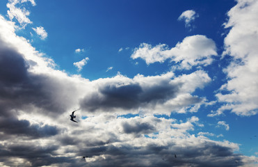 blue sky with clouds