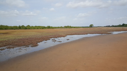 Fototapeta na wymiar Bao Bolong Wetland Reserve