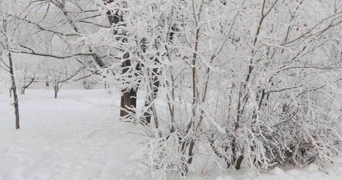 Snow-covered city park