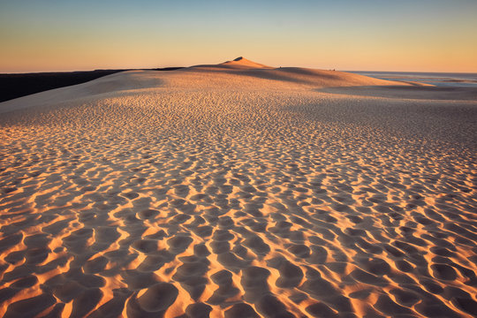 Textured Dune Of Pilat