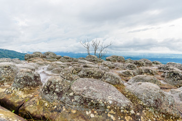 Fototapeta na wymiar Beautiful nature landscape of green forests on Lan Hin Pum viewpoint with strange stone shapes caused by erosion is a famous nature attractions of Phu Hin Rong Kla National Park, Phitsanulok, Thailand
