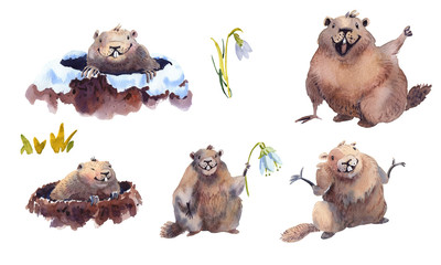 Fototapeta premium Happy Groundhog Day - hand drawn watercolor collection illustrations character card groundhog
