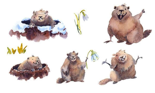 Happy Groundhog Day - hand drawn watercolor collection illustrations character card groundhog