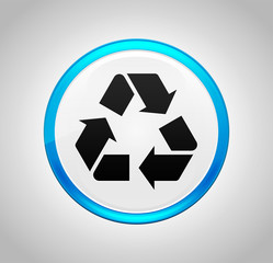Recycle symbol icon round blue push button