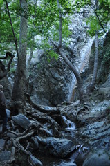 Naklejka na ściany i meble The beautiful millomeris waterfalls in the forest in Cyprus