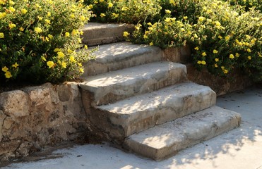 Stone staircase with wild flowers, in Akko, Israel