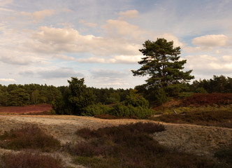 Sonnenuntergang in der Heide