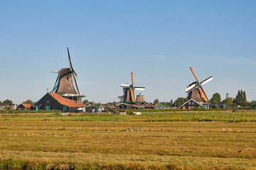 Fototapeta premium typical windmill in holland 