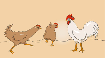 zwei hennen rennen und ein weißer hahn